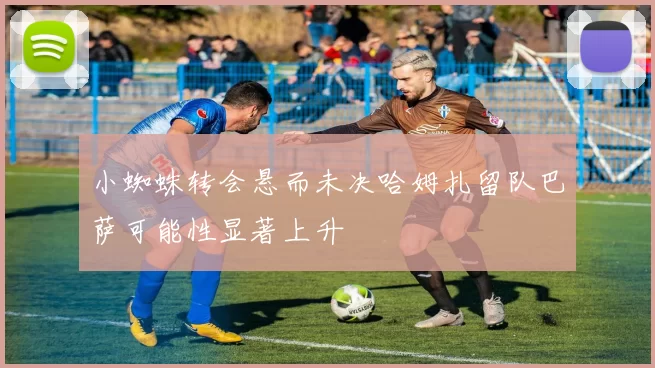 小蜘蛛转会悬而未决哈姆扎留队巴萨可能性显著上升